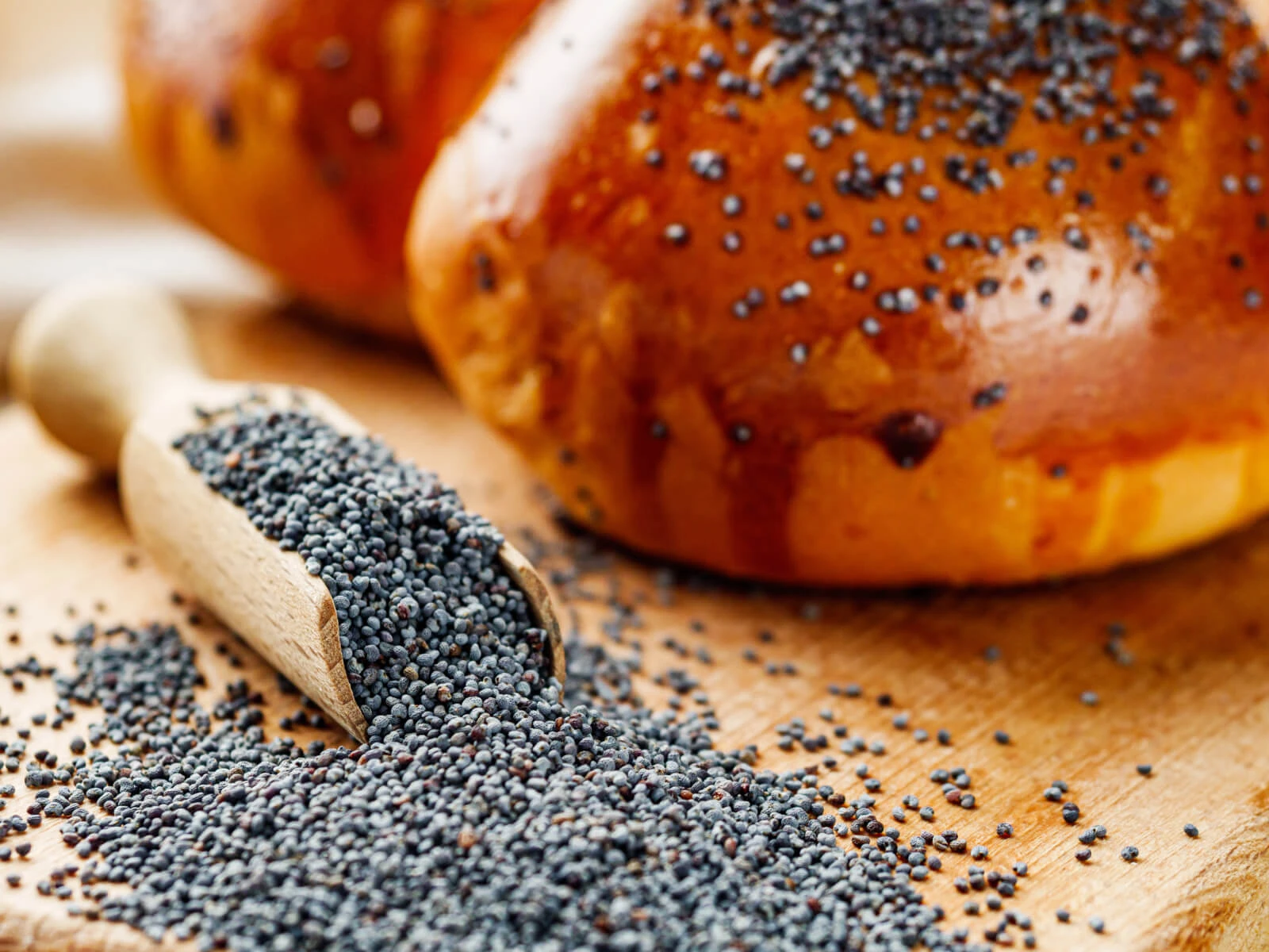 Myth or Reality: Do Poppy Seeds Test Positive for Opiates?